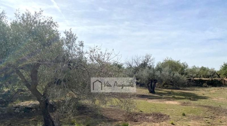Tarragona - el Perelló - 33328m2