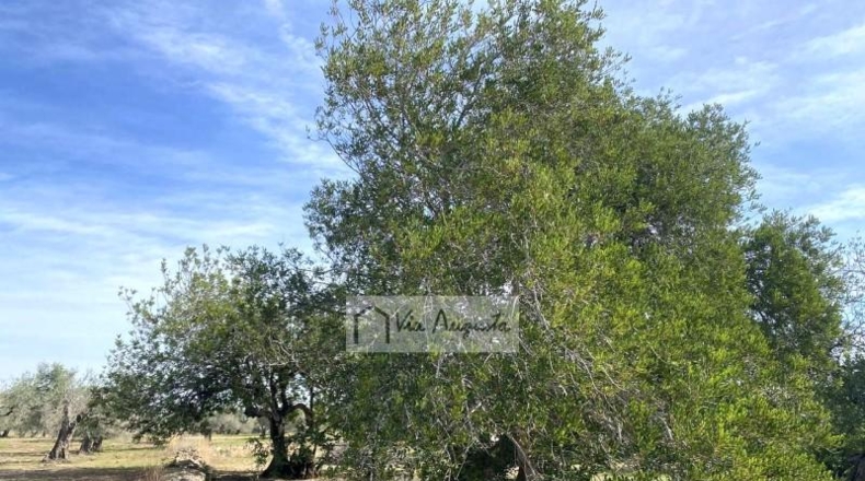 Tarragona - el Perelló - 33328m2