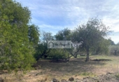 Terreny no urbanitzable en venda a la España, el Perelló, ref.: TR218632 foto