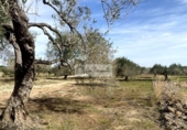 Terreny no urbanitzable en venda a la España, el Perelló, ref.: TR218632 foto