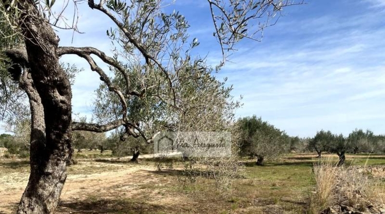 Tarragona - el Perelló - 33328m2