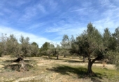 Terreny no urbanitzable en venda a la España, el Perelló, ref.: TR218632 foto