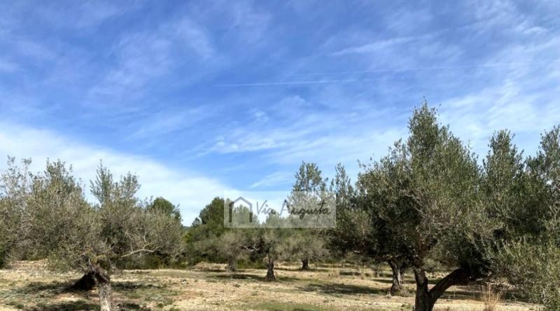 Tarragona - el Perelló - 33328m2
