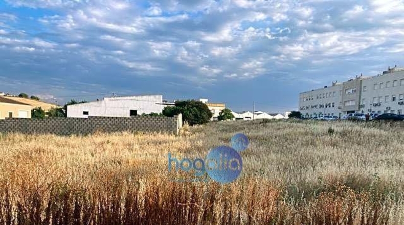 Sevilla - Marchena - 3214m2