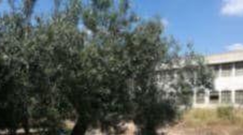 Valencia - Llombai - 141m2