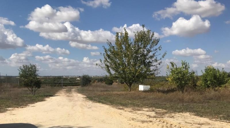 Huelva - Rociana del Condado - 12592m2