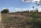 Detached villa with land for sale on España, Rociana del Condado, ref: TR332208 photo