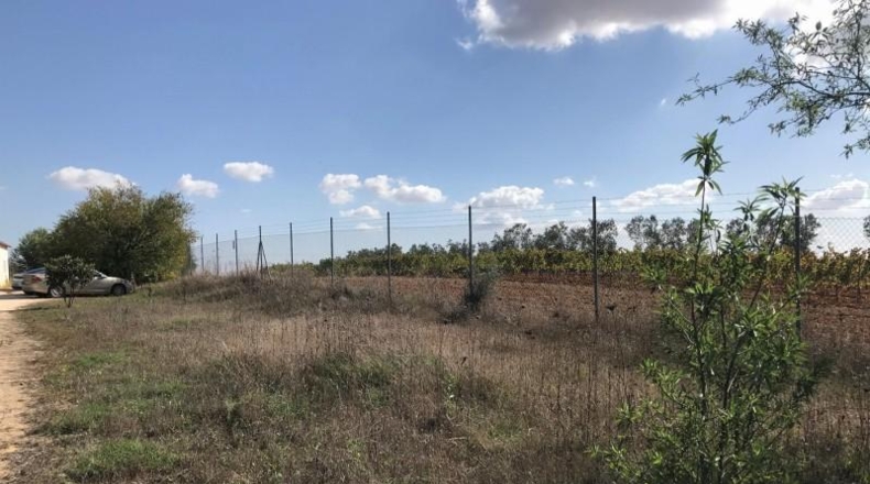 Huelva - Rociana del Condado - 12592m2