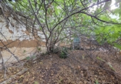 Land suitable for development for sale on España, Fuente de Piedra, ref: TR355536 photo