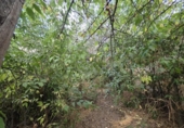 Land suitable for development for sale on España, Fuente de Piedra, ref: TR355536 photo