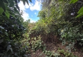 Land suitable for development for sale on España, Fuente de Piedra, ref: TR355536 photo
