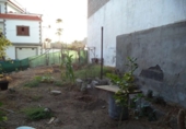 Suelo urbano en venta en la España, Ingenio, ref: TR121932 foto