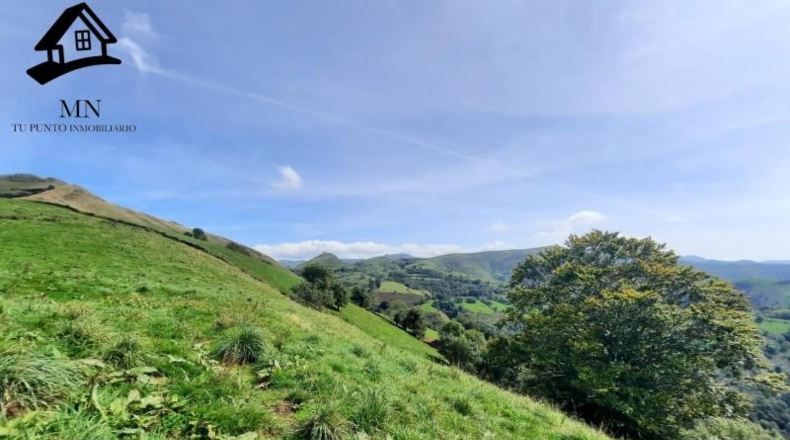 Cantabria - Bustantegua - 14444m2
