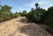 Non-developable land for sale on España, Alhama de Murcia, ref: TR341113 photo