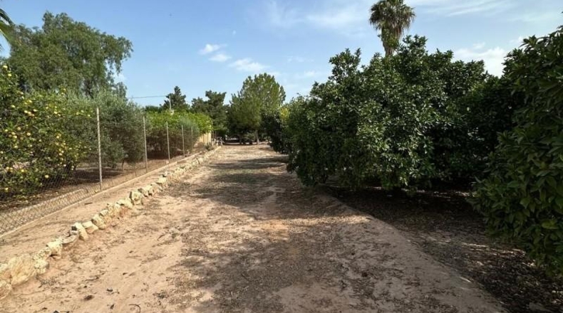 Murcia - Alhama de Murcia - 2540m2