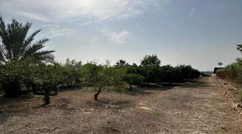 Murcia - Alhama de Murcia - 2540m2