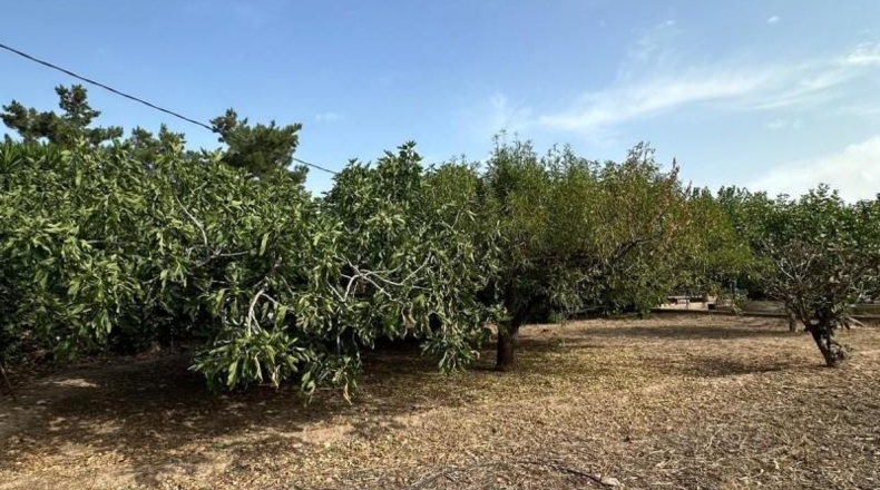 Murcia - Alhama de Murcia - 2540m2