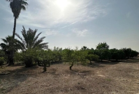 Alhama de Murcia 2540&nbsp;м²