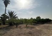 Non-developable land for sale on España, Alhama de Murcia, ref: TR341113 photo