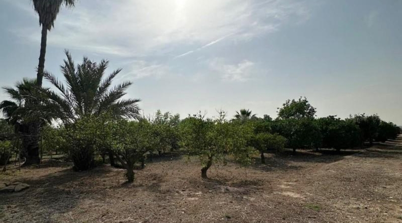 Murcia - Alhama de Murcia - 2540m2