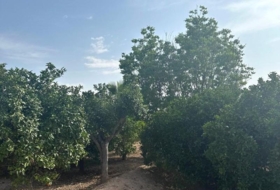 Alhama de Murcia 2540&nbsp;м²