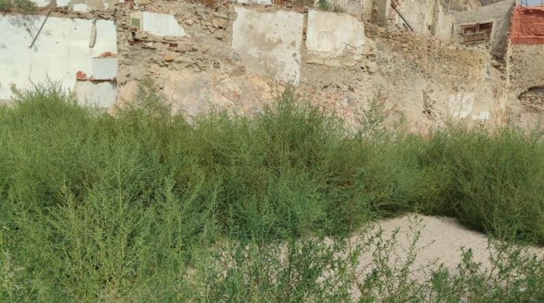 Alicante - Callosa de Segura - 412m2