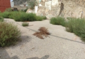 Sòl urbà en venda a la España, Callosa de Segura, ref.: TR170261 foto