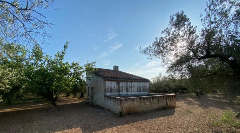 Tarragona - Ulldecona - 40417m2