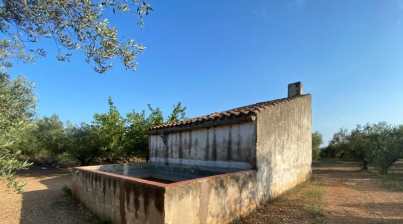 Tarragona - Ulldecona - 40417m2