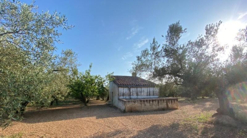 Tarragona - Ulldecona - 40417m2