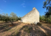 Casa de camp amb terreny en venda a la España, Ulldecona, ref.: TR296700 foto