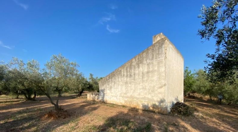 Tarragona - Ulldecona - 40417m2