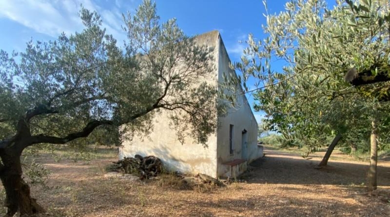Tarragona - Ulldecona - 40417m2