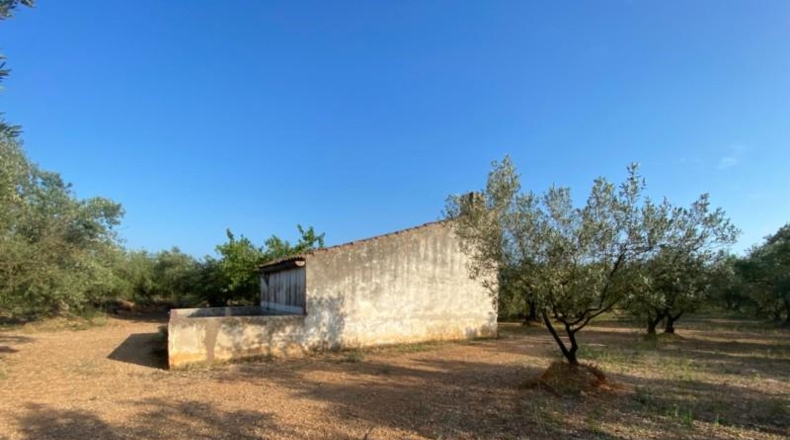 Tarragona - Ulldecona - 40417m2