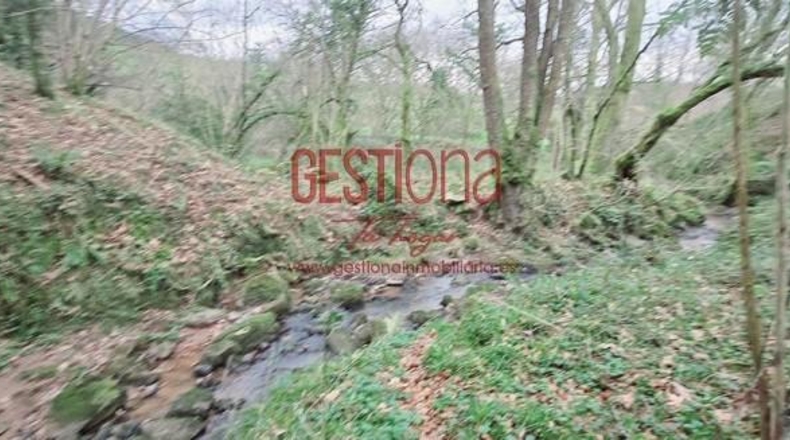 Cantabria - Penagos - 15168m2
