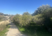 Sòl urbà en venda a la España, Los Gallardos, ref.: TR376579 foto