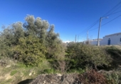 Sòl urbà en venda a la España, Los Gallardos, ref.: TR376579 foto