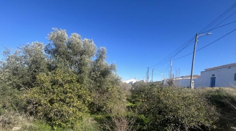 Almería - Los Gallardos - 1824m2