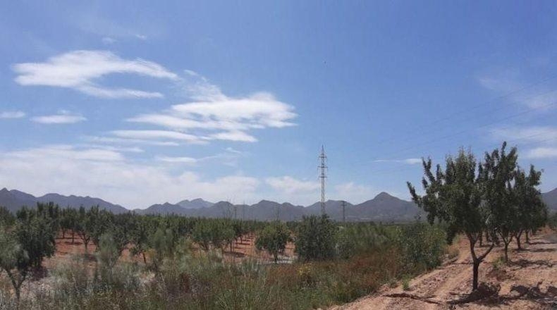 Murcia - Fuente Álamo de Murcia - 73m2