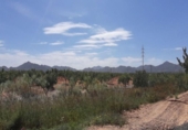 Non-developable land for sale on España, Fuente Álamo, ref: TR328773 photo