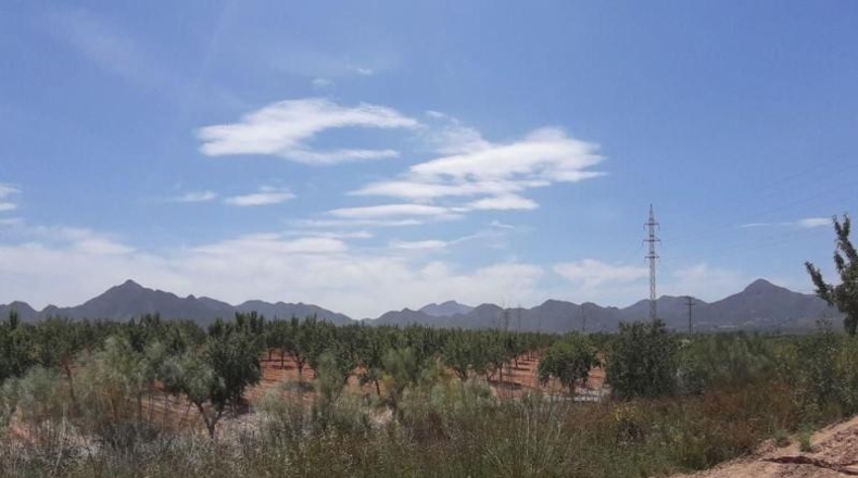 Murcia - Фуэнте Аламо де Мурсия - 73969m2