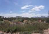 Non-developable land for sale on España, Fuente Álamo, ref: TR328773 photo