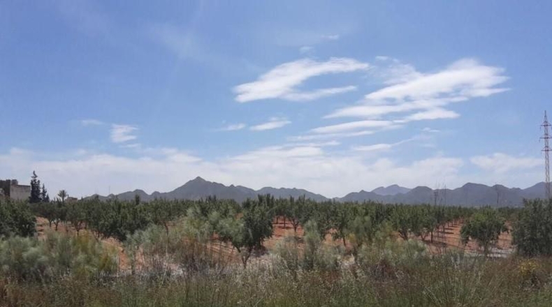 Murcia - Фуэнте Аламо де Мурсия - 73969m2