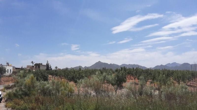 Murcia - Фуэнте Аламо де Мурсия - 73969m2