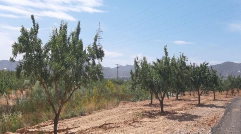 Murcia - Фуэнте Аламо де Мурсия - 73969m2
