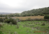 Terreny no urbanitzable en venda a la España, Vejer de la Frontera, ref.: TR134595 foto