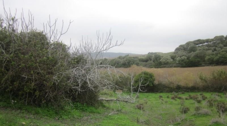 Cádiz - Vejer de la Frontera - 4150m2