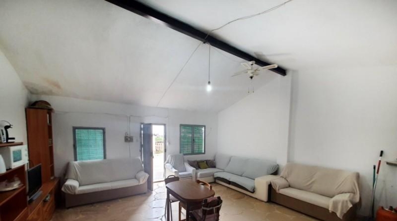 Alicante - Novelda - 15000m2