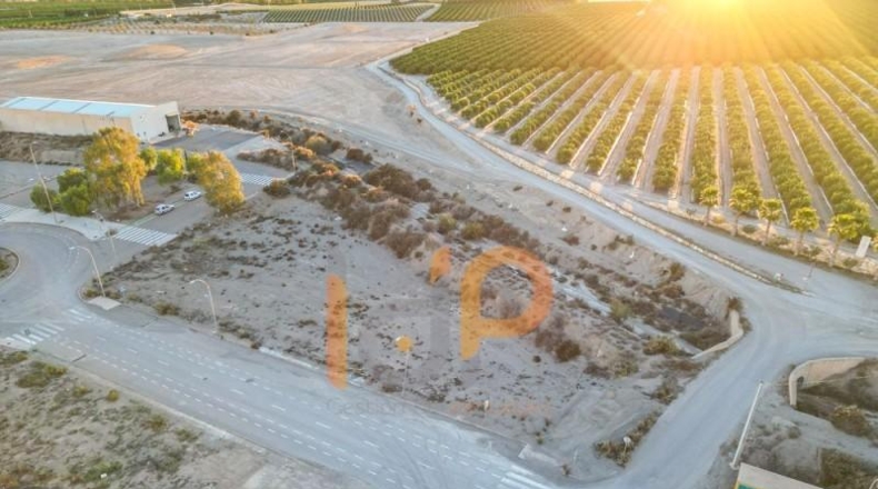 Almería - Albox - 1350m2