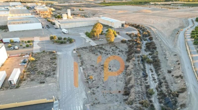 Almería - Albox - 1350m2